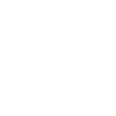 LOGO_BLANCO Asesoría SUMMA SOLVENTIA